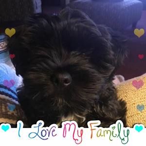 Meet your Posher, Sabrina